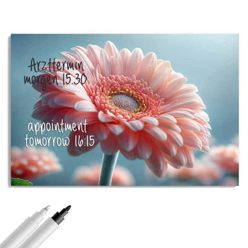 Metall Magnettafel - Rosa Gerbera