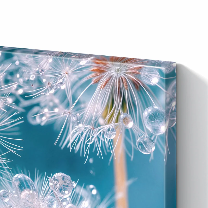Metall Magnettafel - Pusteblumen mit Tropfen