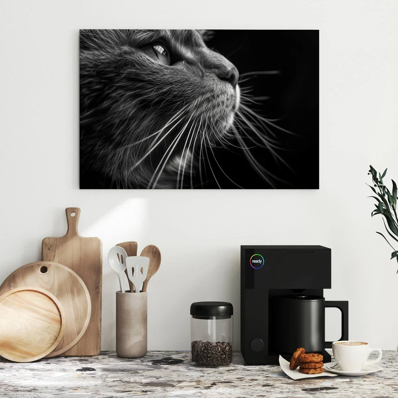 Metall Magnettafel - Katze in Schwarzweiß