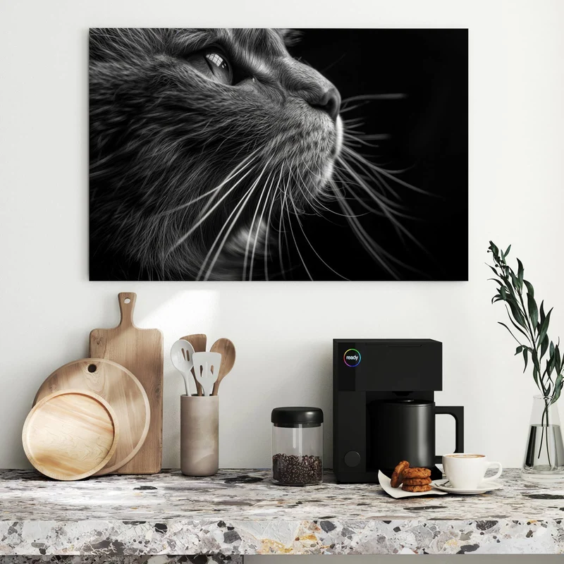 Metall Magnettafel - Katze in Schwarzweiß