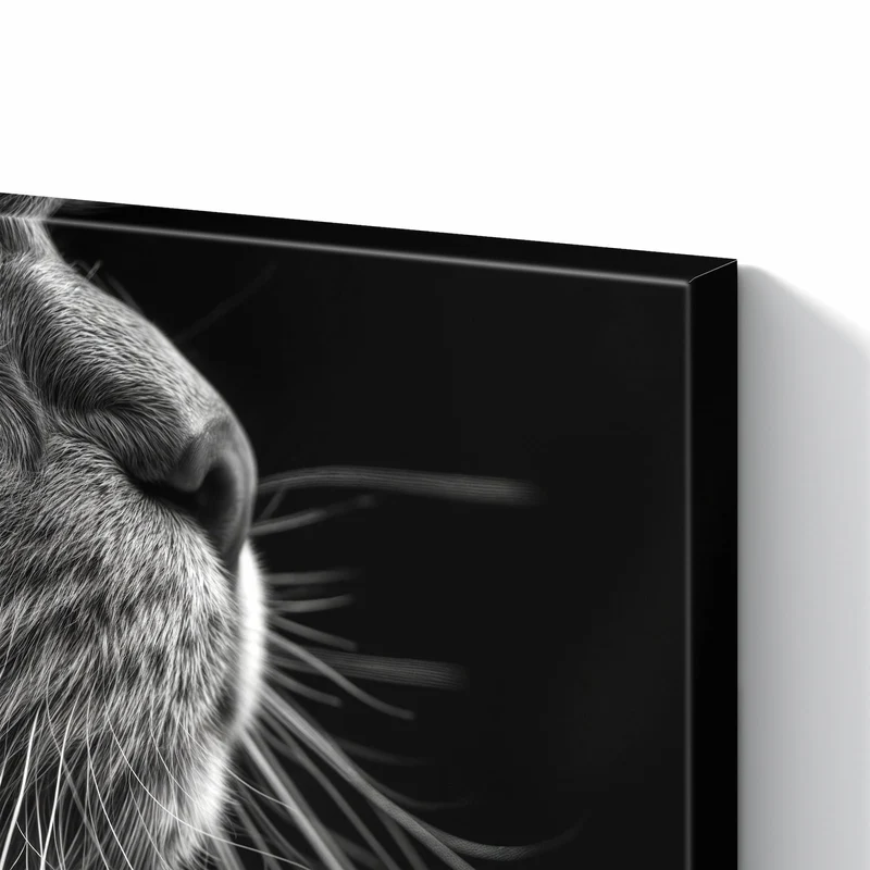 Metall Magnettafel - Katze in Schwarzweiß