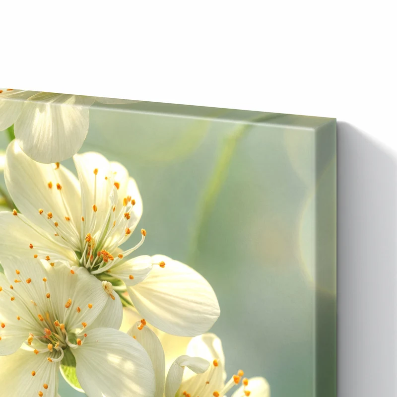 Metall Magnettafel - Weiße Blüten vor Grün
