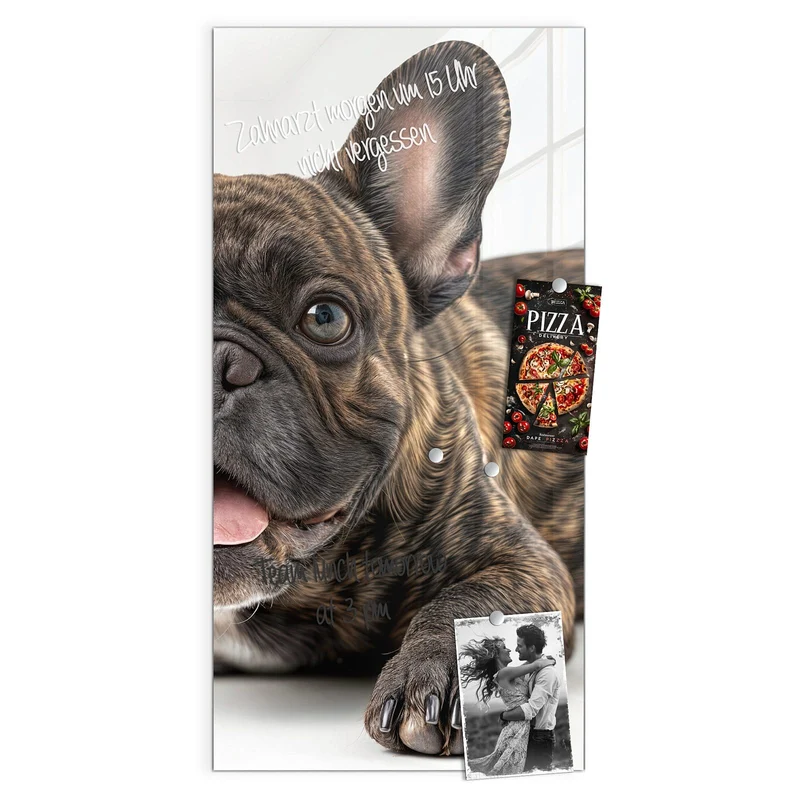 Glas Magnettafel - Liegende Bulldogge