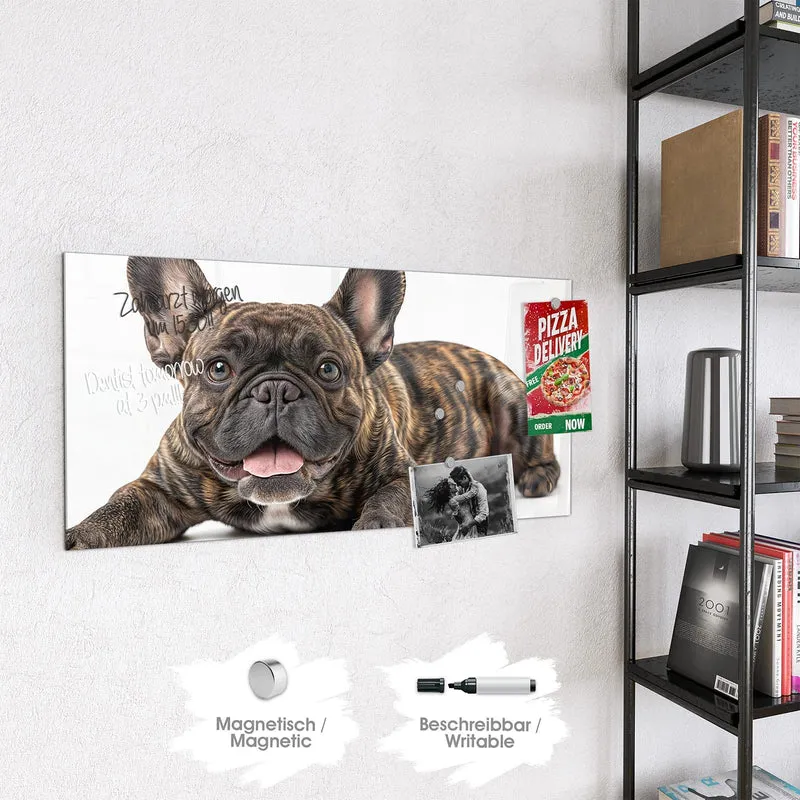 Glas Magnettafel - Liegende Bulldogge