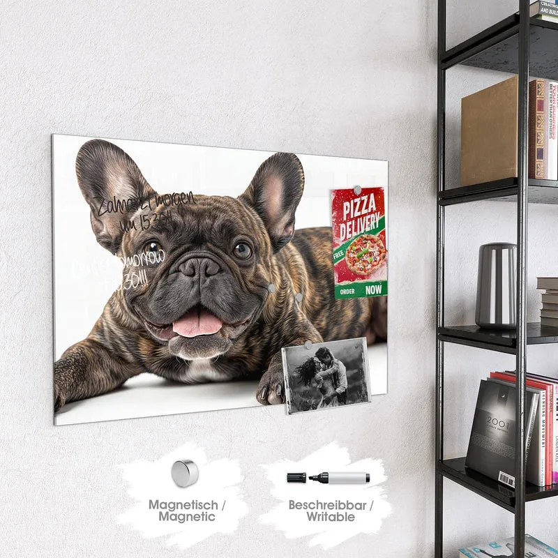 Glas Magnettafel - Liegende Bulldogge