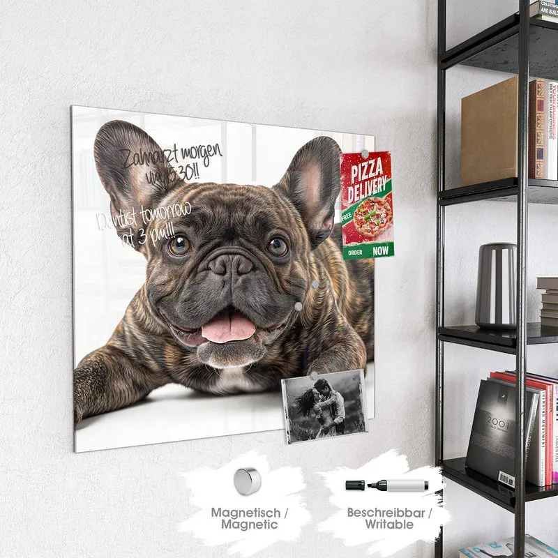 Glas Magnettafel - Liegende Bulldogge