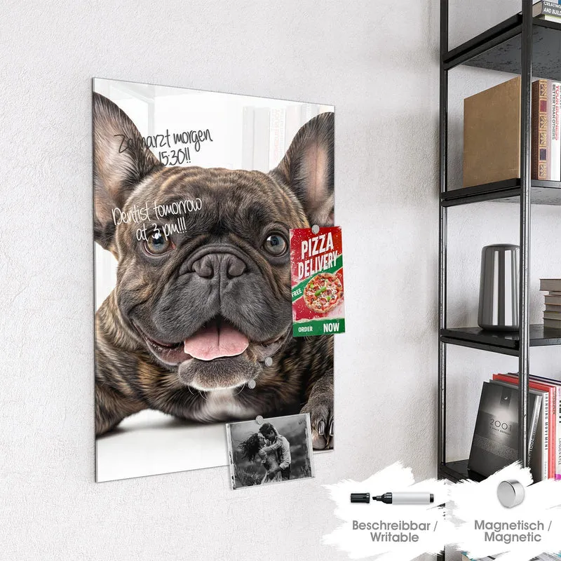 Glas Magnettafel - Liegende Bulldogge