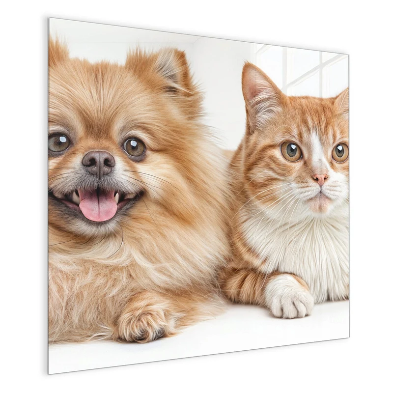 Glas Magnettafel - Spitz und Katze