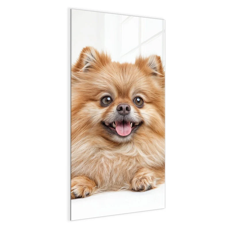 Glas Magnettafel - Spitz und Katze