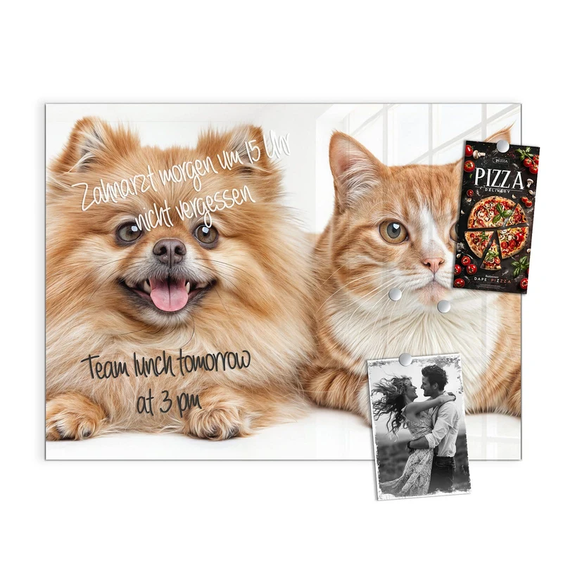 Glas Magnettafel - Spitz und Katze
