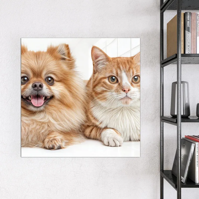 Glas Magnettafel - Spitz und Katze