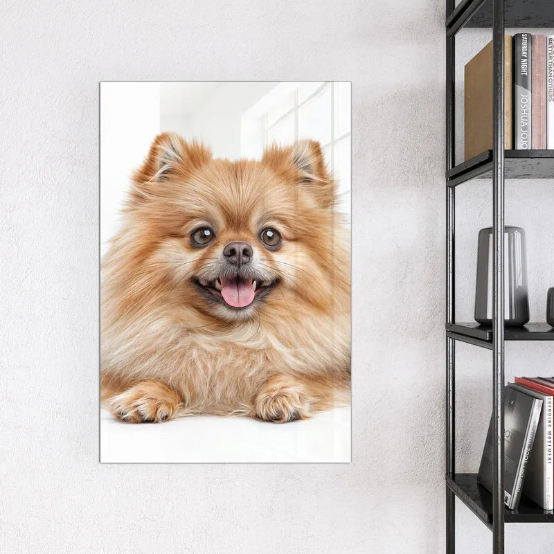 Glas Magnettafel - Spitz und Katze