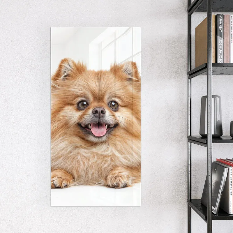 Glas Magnettafel - Spitz und Katze
