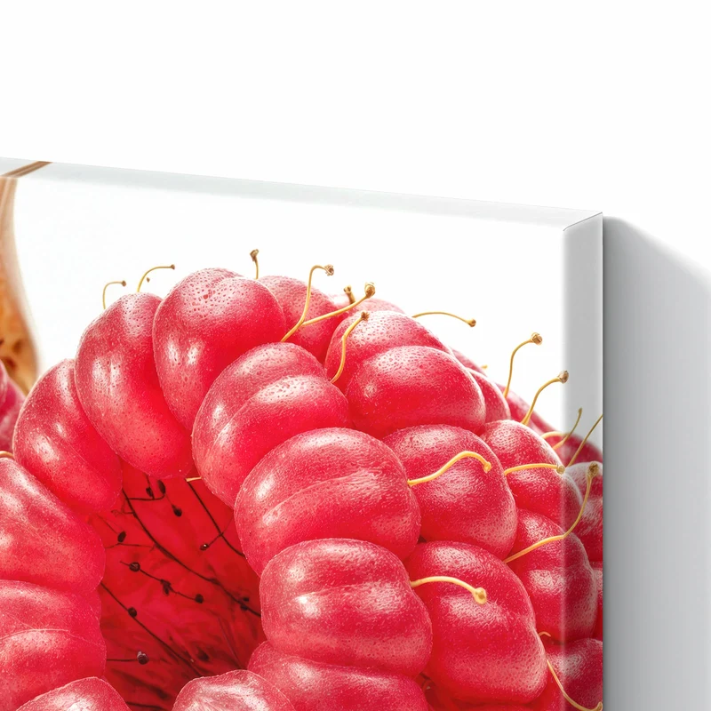 Metall Magnettafel - Surreale Himbeeren