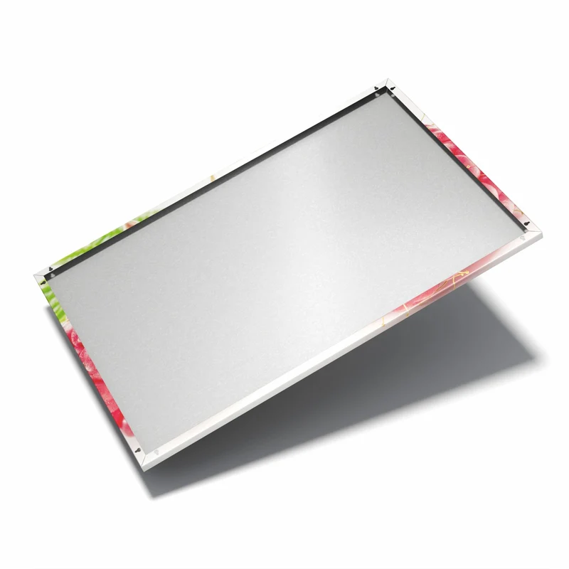 Metall Magnettafel - Surreale Himbeeren