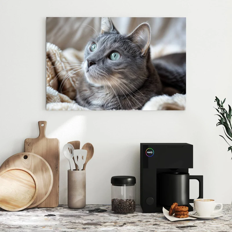 Metall Magnettafel - Graue Katze auf Decke