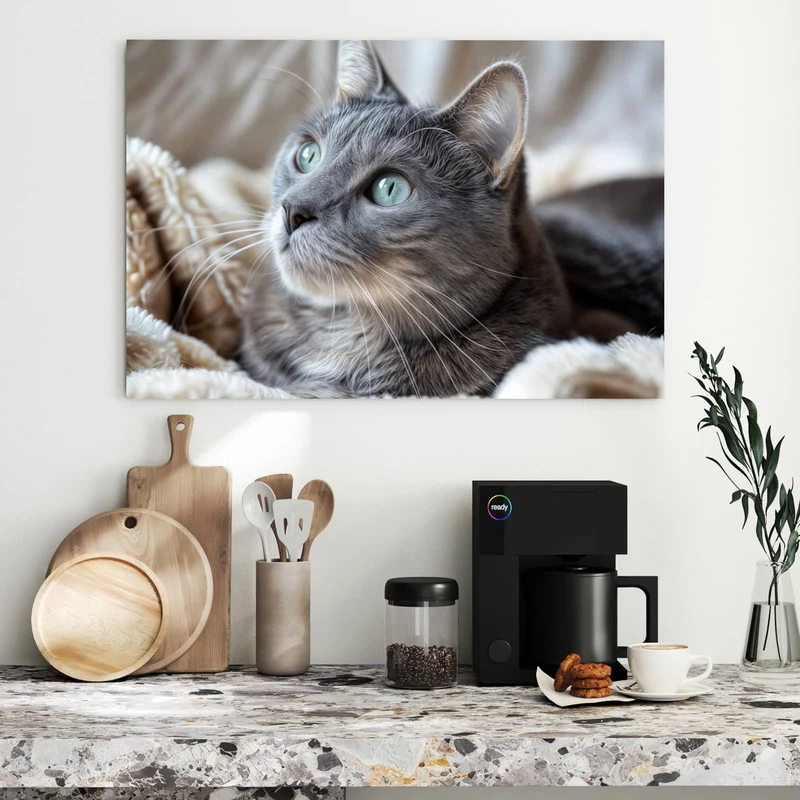 Metall Magnettafel - Graue Katze auf Decke