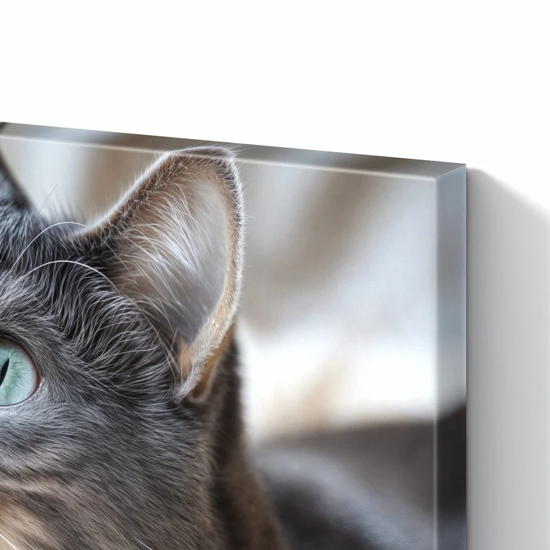 Metall Magnettafel - Graue Katze auf Decke