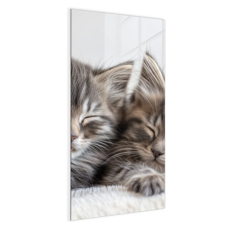 Glas Magnettafel - Zwei schlafende Kätzchen