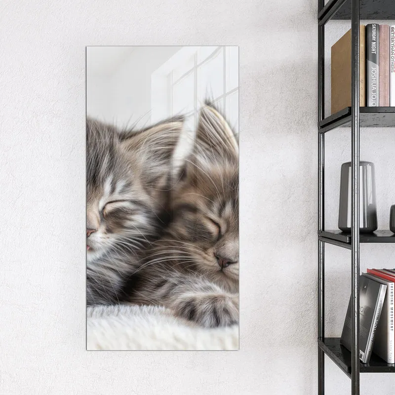 Glas Magnettafel - Zwei schlafende Kätzchen