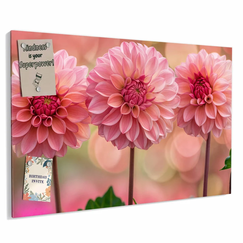 Metall Magnettafel - Drei rosa Dahlien