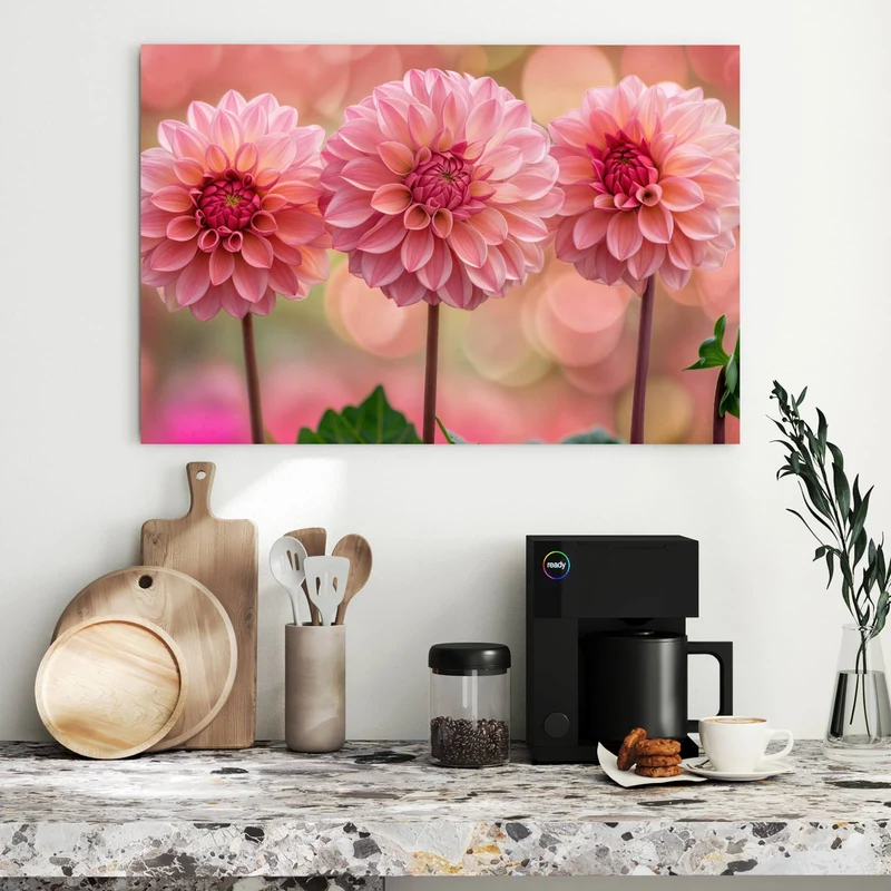 Metall Magnettafel - Drei rosa Dahlien