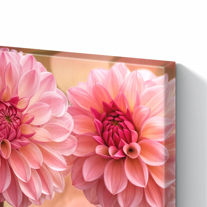 Metall Magnettafel - Drei rosa Dahlien