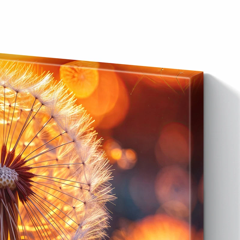 Metall Magnettafel - Pusteblume vor Sonne