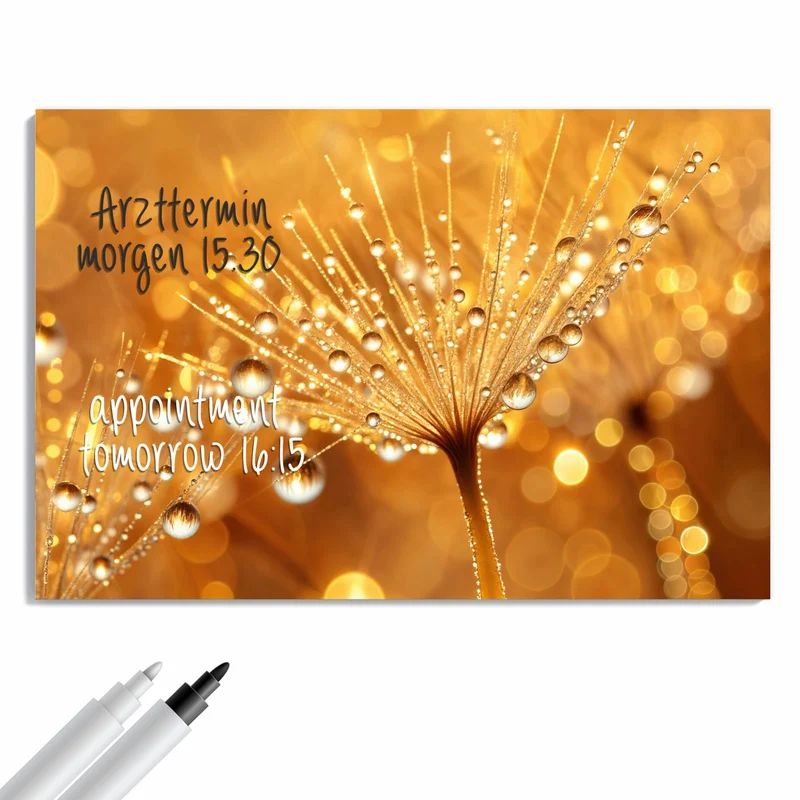 Metall Magnettafel - Pusteblume voll Tau