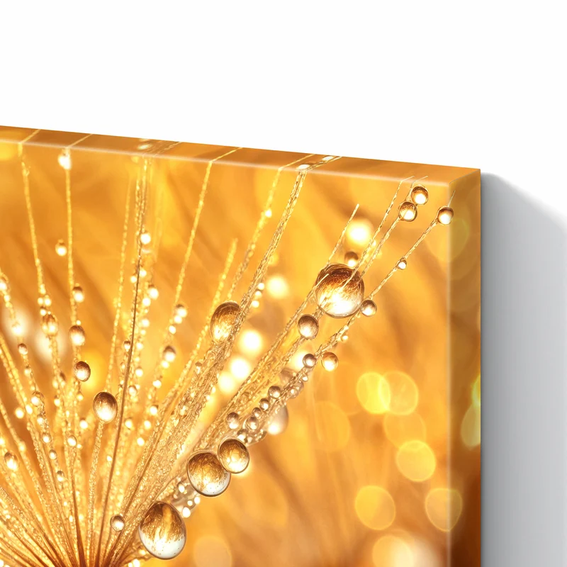 Metall Magnettafel - Pusteblume voll Tau
