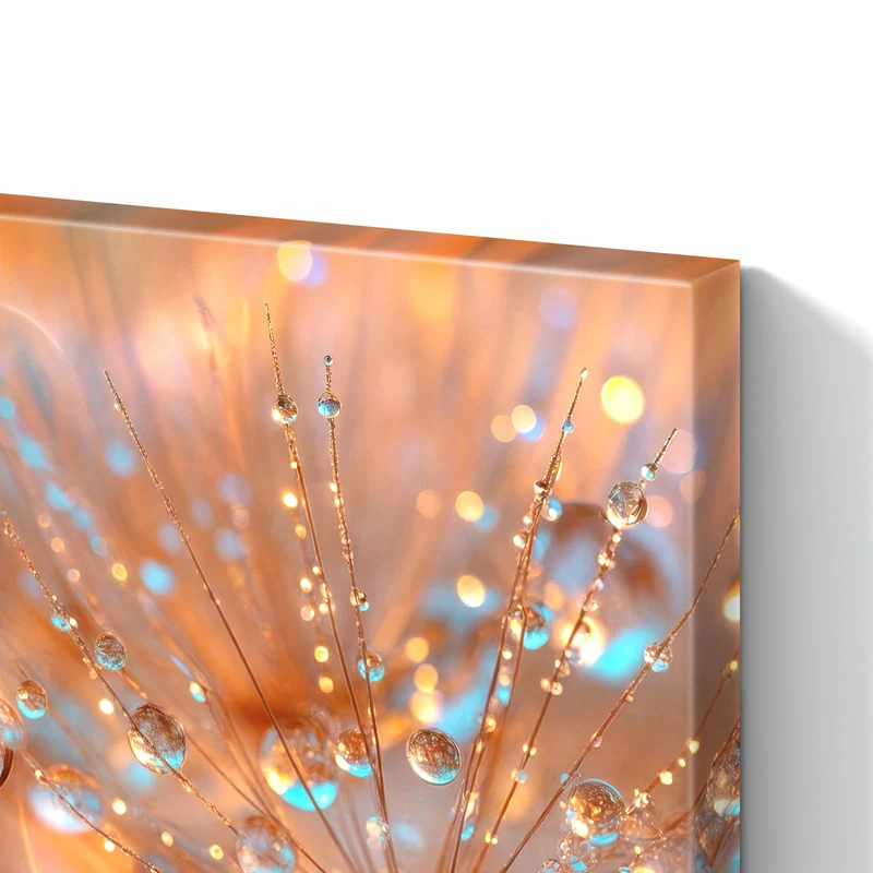 Metall Magnettafel - Pusteblume im Tau