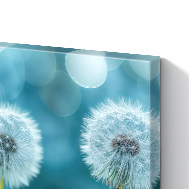 Metall Magnettafel - Pusteblumen in Türkis