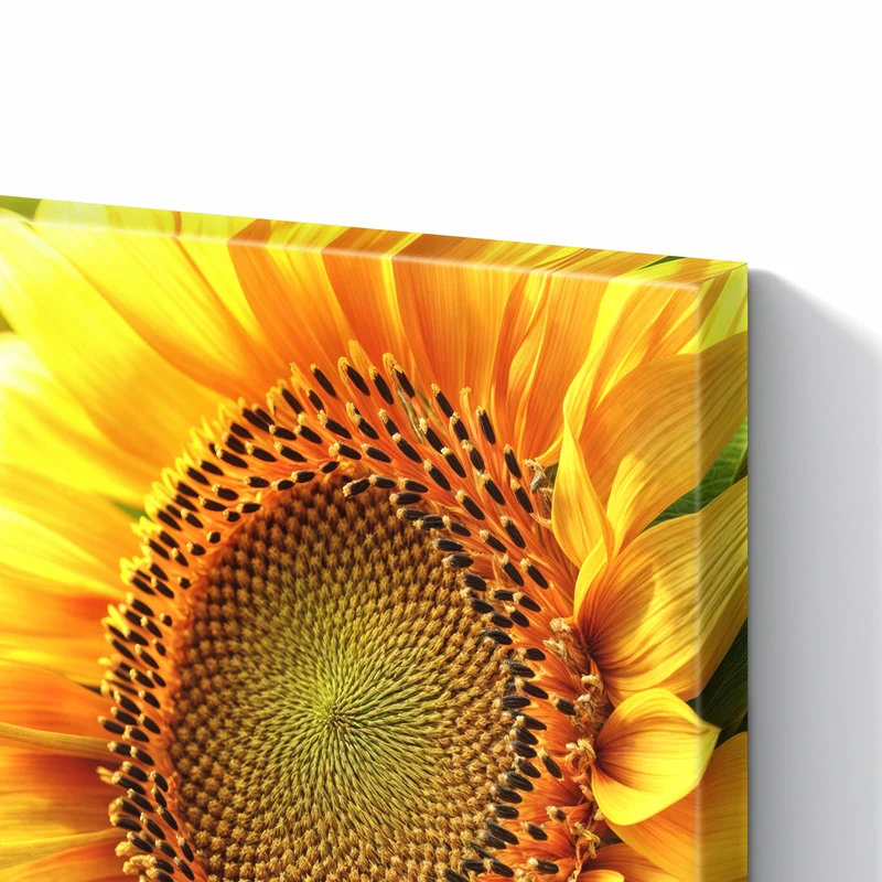 Metall Magnettafel - Sonnenblume im Goldlicht