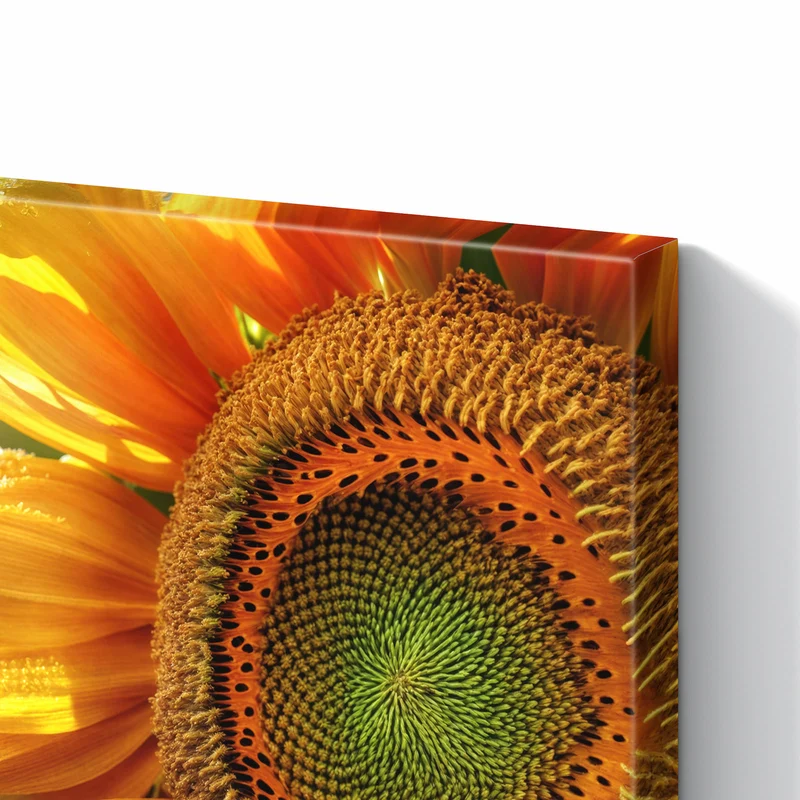 Metall Magnettafel - Sonnenblume mit Tau