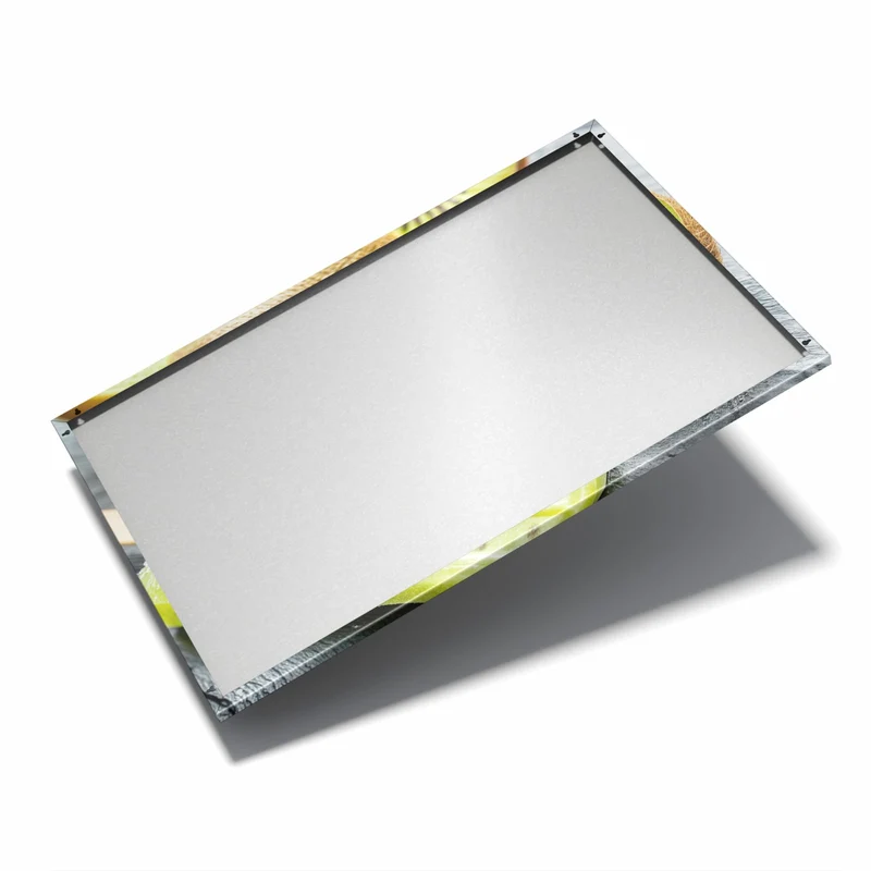 Metall Magnettafel - Kiwieis am Stiel