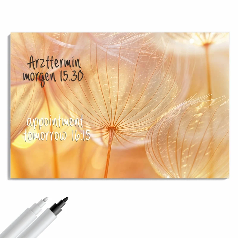 Metall Magnettafel - Pusteblume im Goldlicht