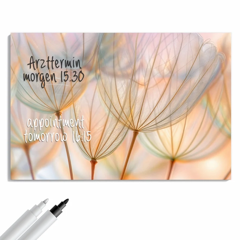 Metall Magnettafel - Pusteblume in Pastell