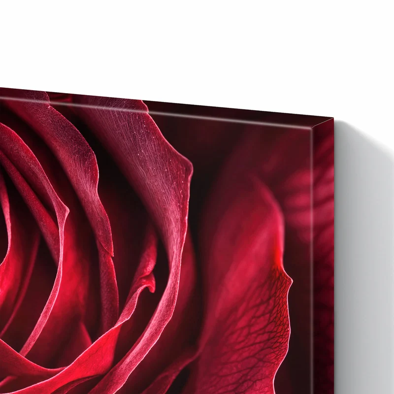 Metall Magnettafel - Tiefrote Rosenblüte