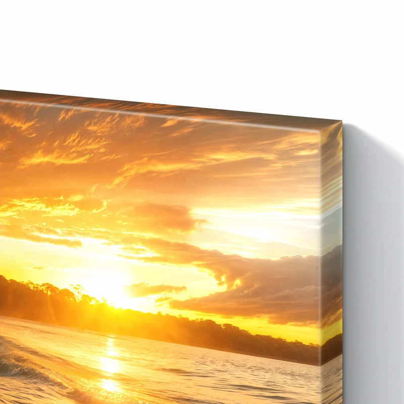 Metall Magnettafel - Palme im Abendgold