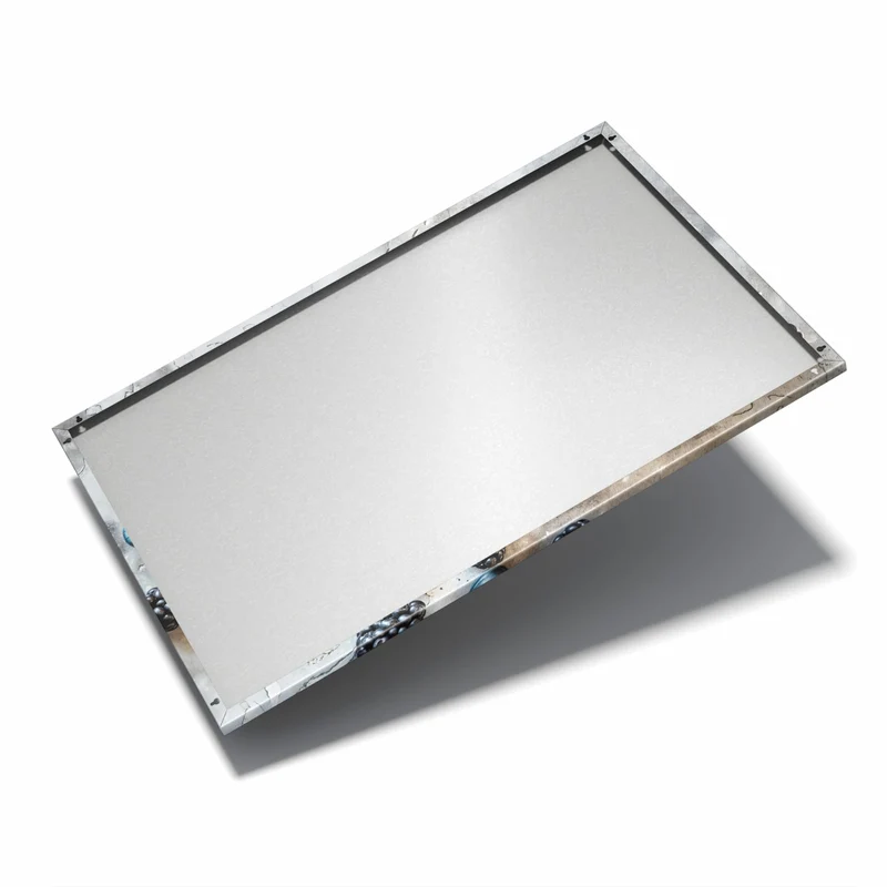 Metall Magnettafel - Schale mit Blaubeeren