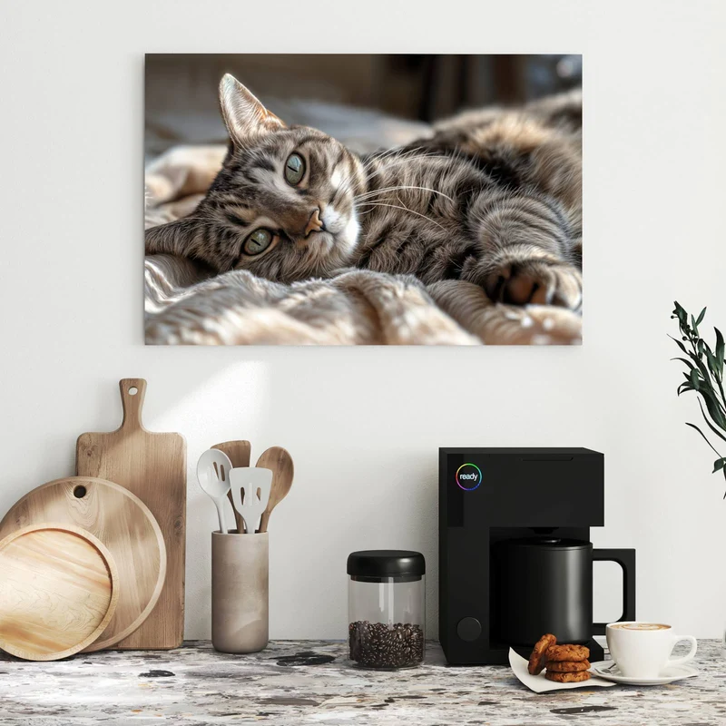 Metall Magnettafel - Gemütliche Katze