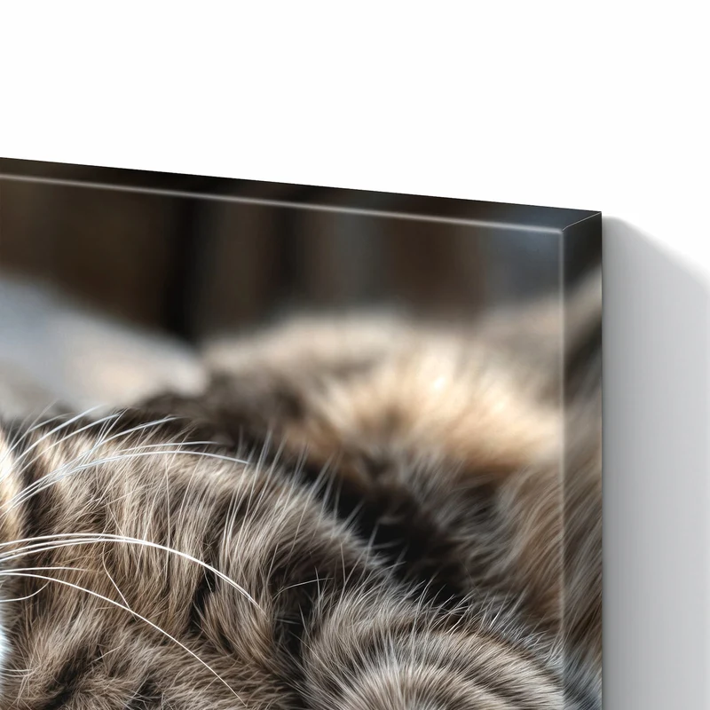 Metall Magnettafel - Gemütliche Katze