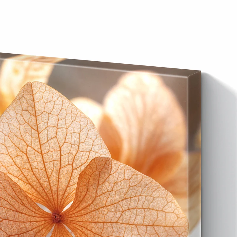 Metall Magnettafel - Hortensie in Apricot