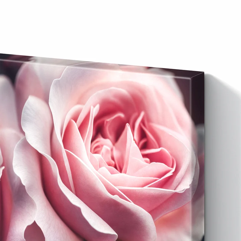 Metall Magnettafel - Rosenblüten Duo