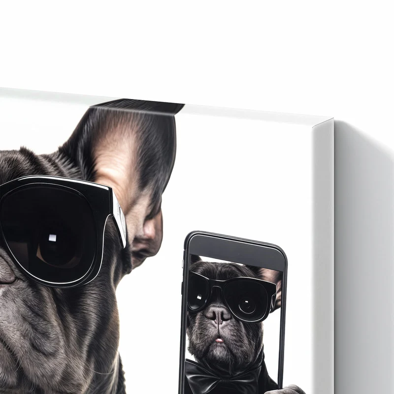 Metall Magnettafel - Hund mit Sonnenbrille