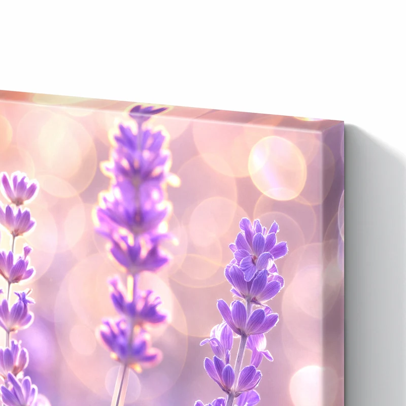 Metall Magnettafel - Lavendel im Gegenlicht