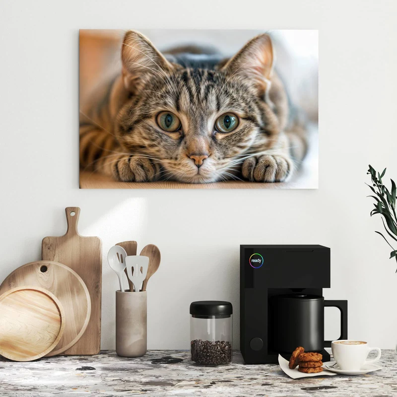 Metall Magnettafel - Liegende Katze