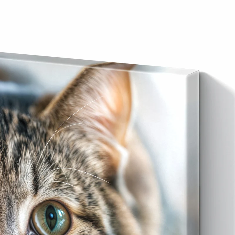 Metall Magnettafel - Liegende Katze