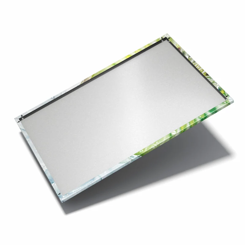 Metall Magnettafel - Kiwischeibe auf Eis