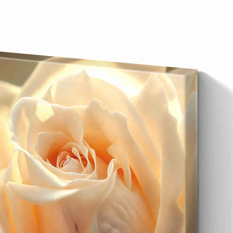 Metall Magnettafel - Rose mit Wassertropfen